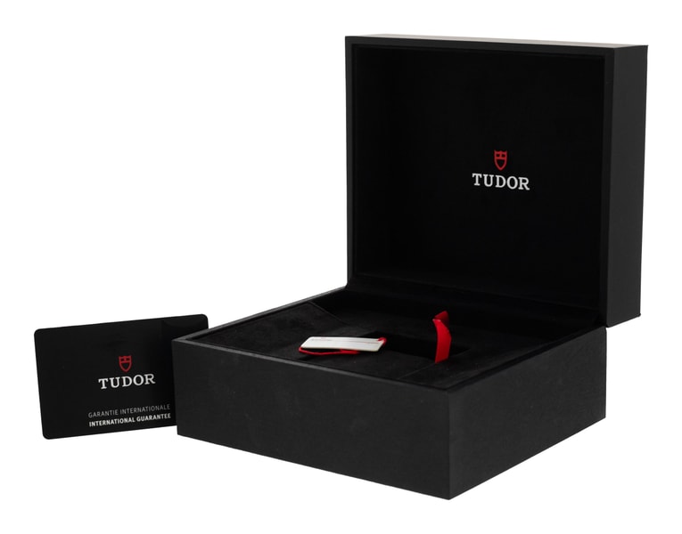 Tudor Pelagos M25600TB-0001